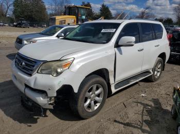  Salvage Lexus Gx