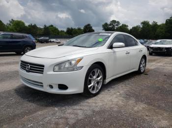  Salvage Nissan Maxima