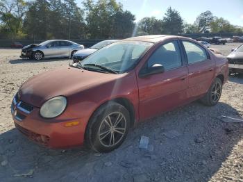  Salvage Dodge Neon