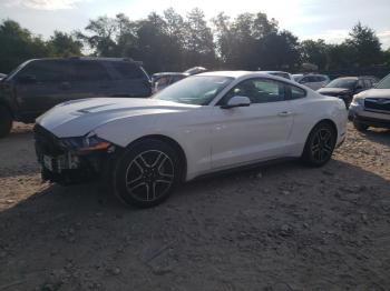  Salvage Ford Mustang