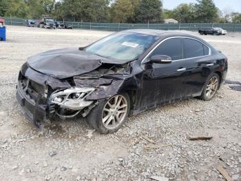  Salvage Nissan Maxima