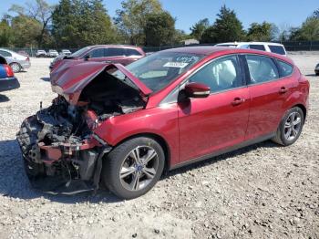  Salvage Ford Focus