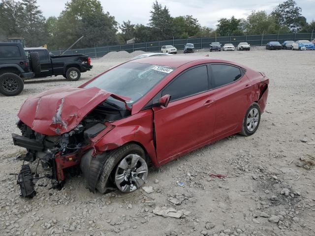  Salvage Hyundai ELANTRA