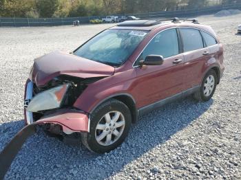  Salvage Honda Crv