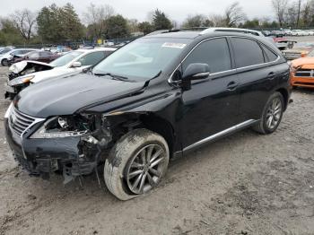  Salvage Lexus RX