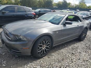  Salvage Ford Mustang