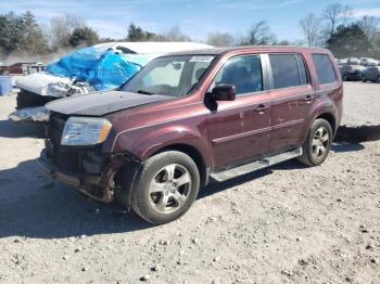  Salvage Honda Pilot