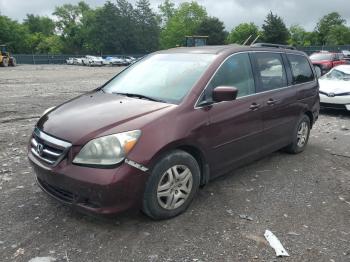  Salvage Honda Odyssey