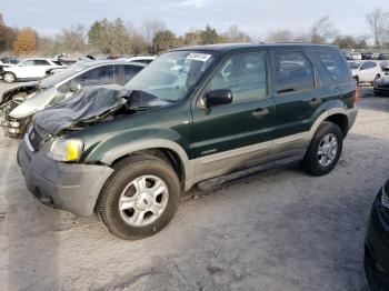  Salvage Ford Escape