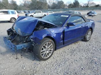  Salvage Ford Mustang