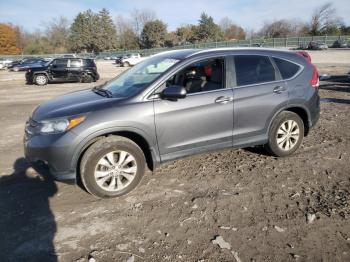  Salvage Honda Crv