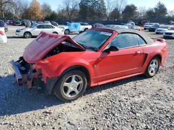  Salvage Ford Mustang