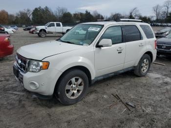  Salvage Ford Escape