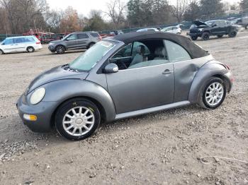  Salvage Volkswagen Beetle