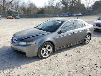  Salvage Acura TL