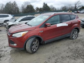  Salvage Ford Escape