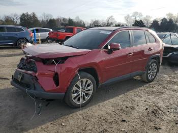  Salvage Toyota RAV4