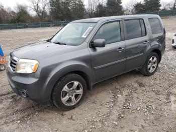  Salvage Honda Pilot