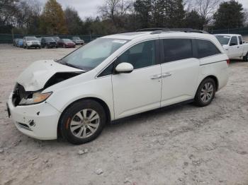  Salvage Honda Odyssey