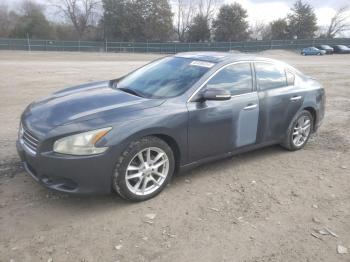  Salvage Nissan Maxima