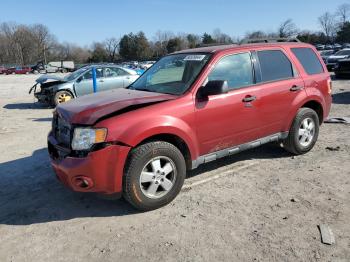  Salvage Ford Escape