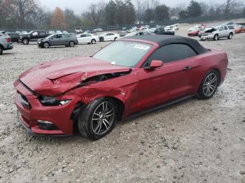  Salvage Ford Mustang