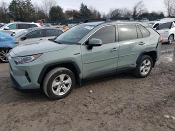  Salvage Toyota RAV4