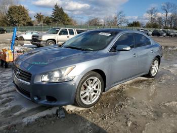  Salvage Nissan Maxima