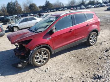  Salvage Ford Escape