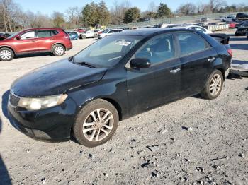  Salvage Kia Forte