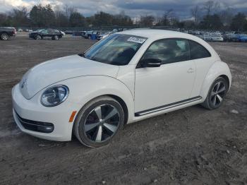  Salvage Volkswagen Beetle