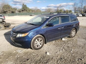  Salvage Honda Odyssey