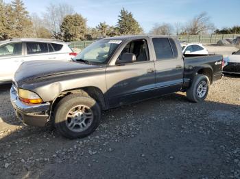  Salvage Dodge Dakota