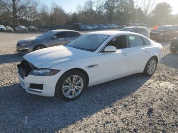  Salvage Jaguar XF