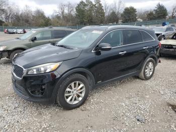  Salvage Kia Sorento