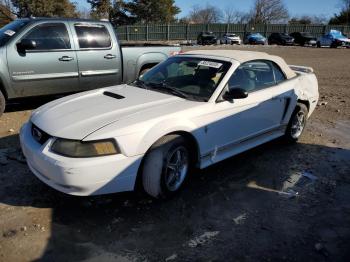  Salvage Ford Mustang