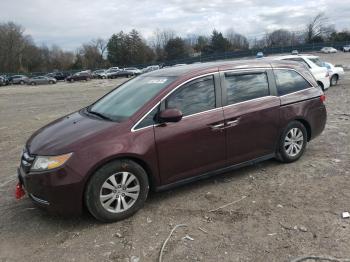  Salvage Honda Odyssey