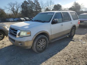  Salvage Ford Expedition