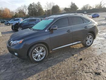  Salvage Lexus RX