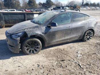  Salvage Tesla Model Y