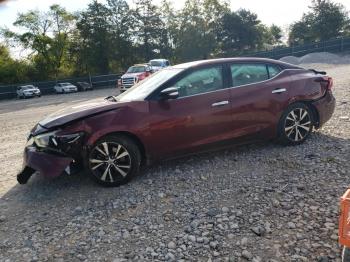  Salvage Nissan Maxima