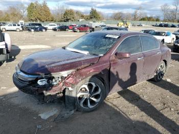  Salvage Honda Accord