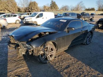  Salvage Ford Mustang