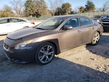  Salvage Nissan Maxima