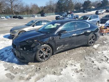  Salvage Nissan Maxima