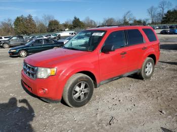  Salvage Ford Escape