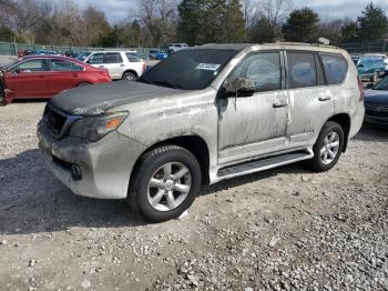  Salvage Lexus Gx