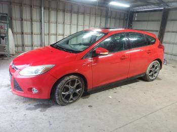  Salvage Ford Focus