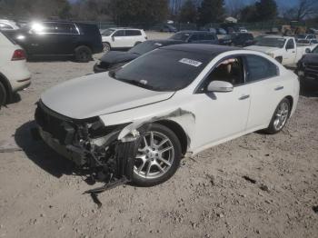  Salvage Nissan Maxima