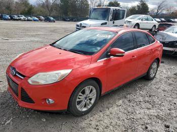  Salvage Ford Focus